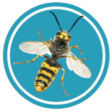 Extermination PGEX photo 6