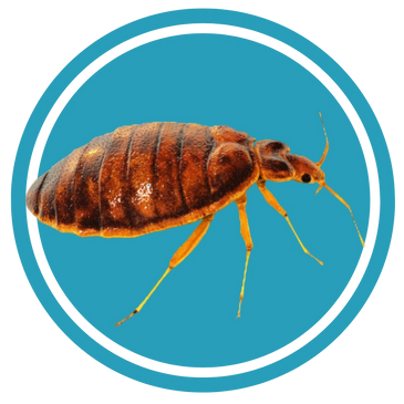 Extermination PGEX photo 7