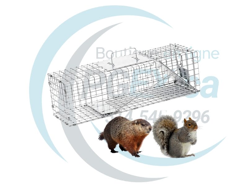 Cage à écureuil 24 x 7 x 7 po