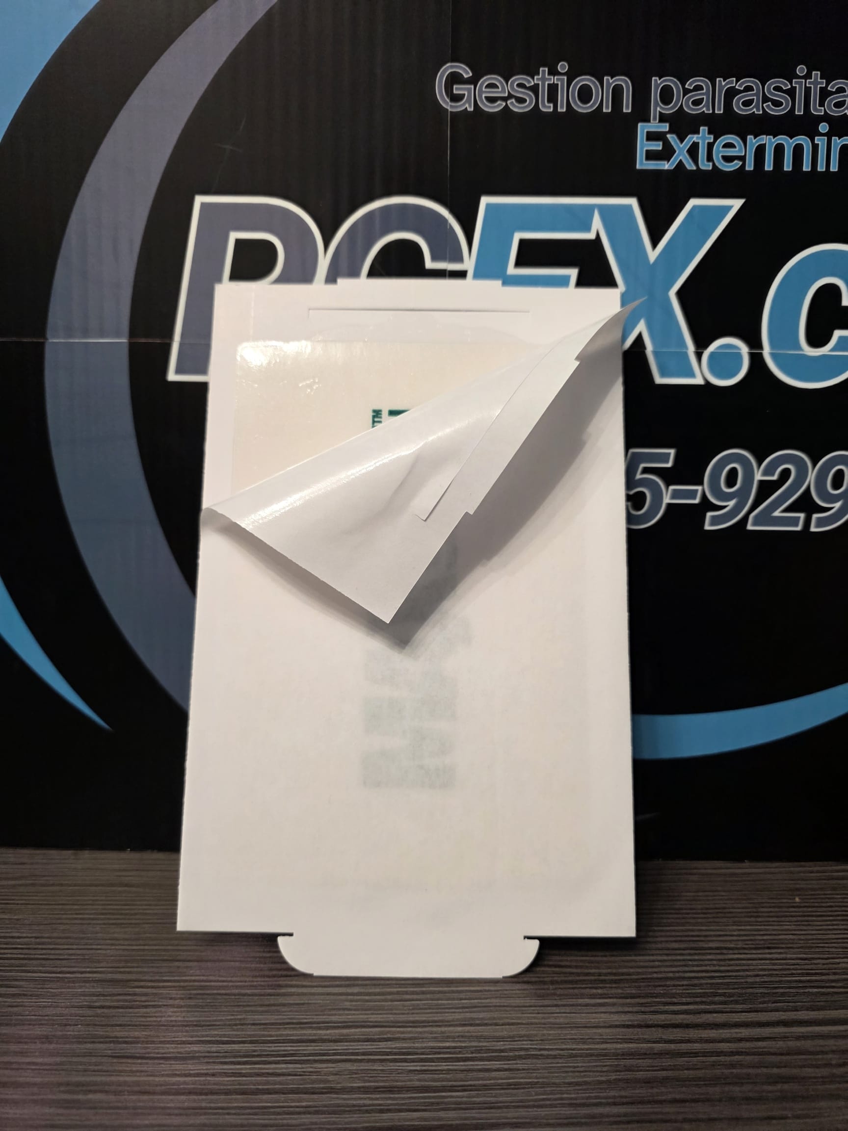 Pièges collants pour souris et insectes, paquet de 6.