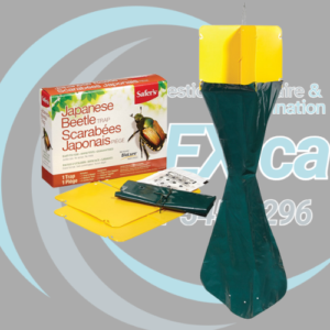 Piège à scarabées japonais Safer's avec appât BioLure