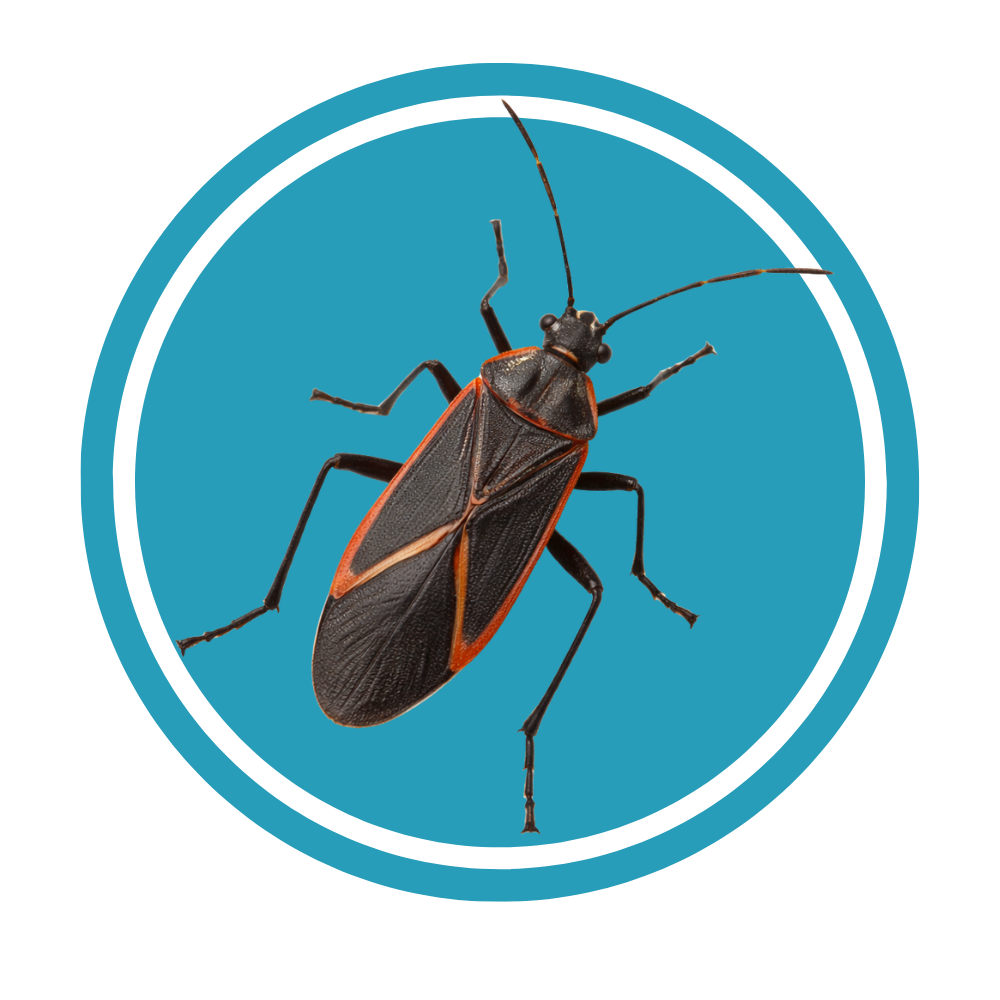 Extermination PGEX photo 9